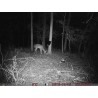 Scout Guard BG410-MFP Camera trap