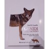 Canids of the world