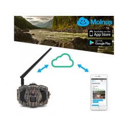 Scubla 984 cloud molnus Camera trap