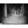 Scubla 984 cloud molnus Camera trap