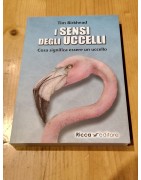 UCCELLI-BIRDWATCHING